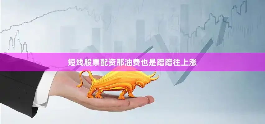 短线股票配资那油费也是蹭蹭往上涨