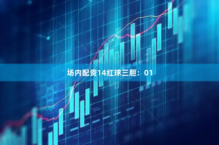 场内配资14　　红球三胆：01
