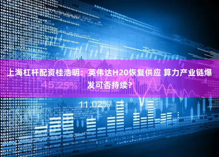 上海杠杆配资桂浩明:英伟达H20恢复供应 算力产业链爆发可否持续?