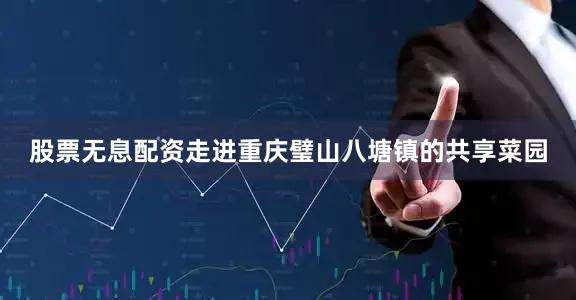 股票无息配资走进重庆璧山八塘镇的共享菜园