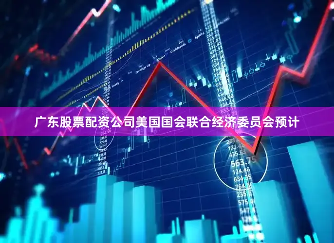 广东股票配资公司美国国会联合经济委员会预计