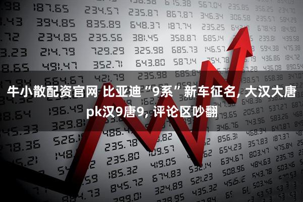 牛小散配资官网 比亚迪“9系”新车征名, 大汉大唐pk汉9唐9, 评论区吵翻