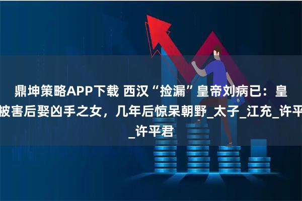 鼎坤策略APP下载 西汉“捡漏”皇帝刘病已：皇后被害后娶凶手之女，几年后惊呆朝野_太子_江充_许平君